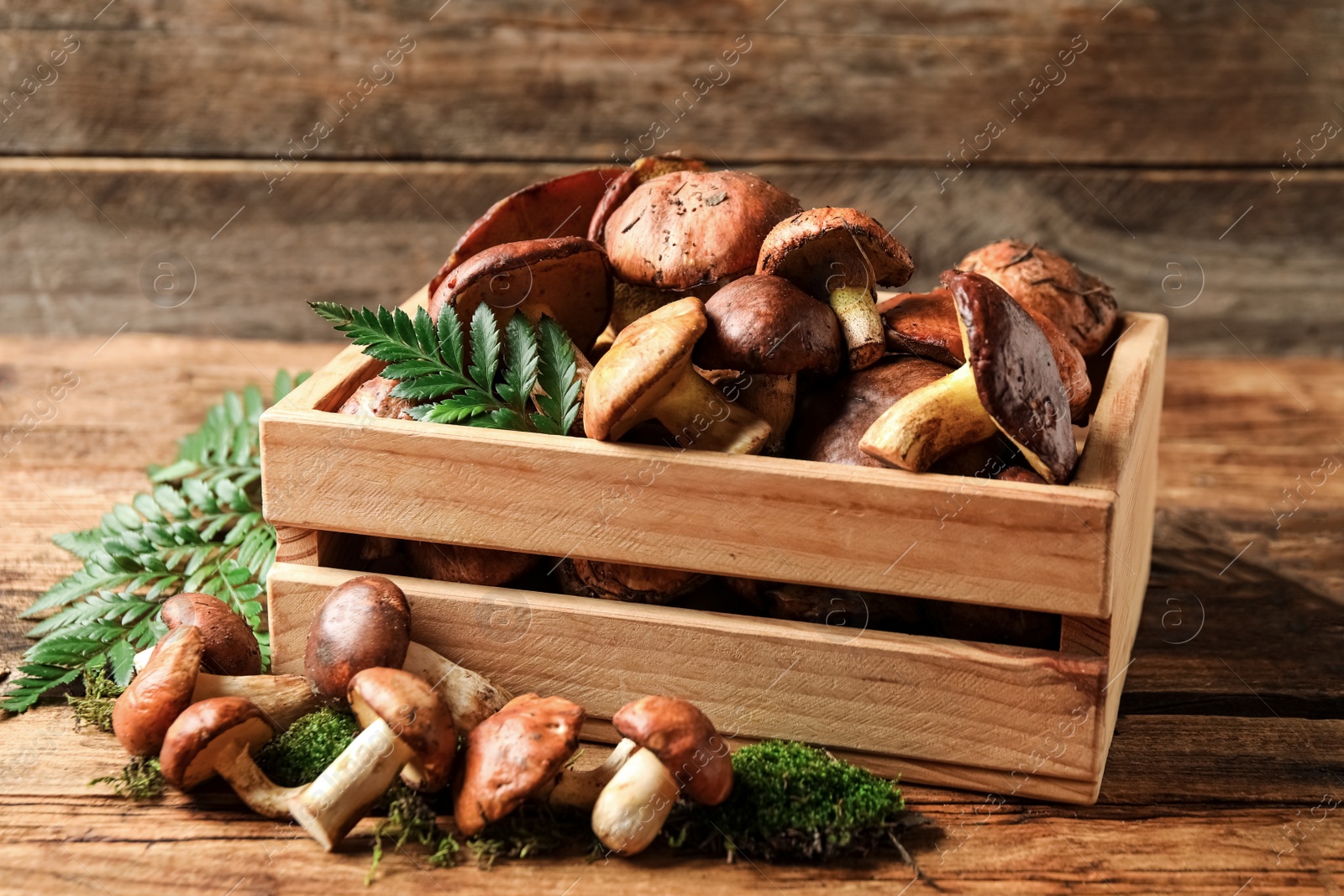 Photo of Fresh wild slippery jack mushrooms in wooden crate on table