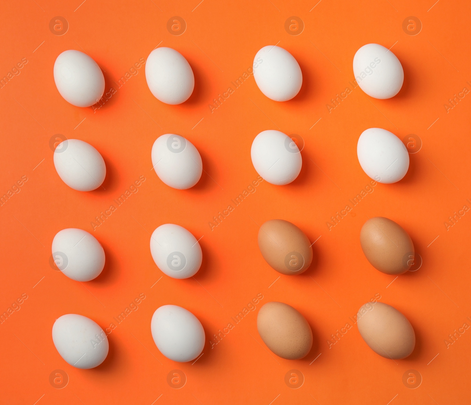 Photo of Raw chicken eggs on color background, top view