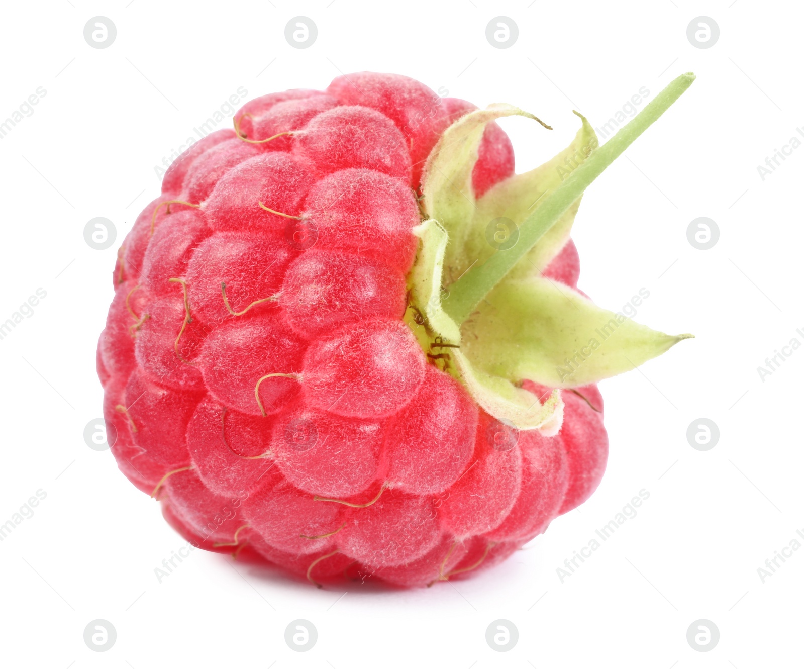 Photo of One tasty ripe raspberry isolated on white