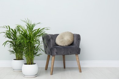 Photo of Exotic house plants with comfortable armchair in room interior