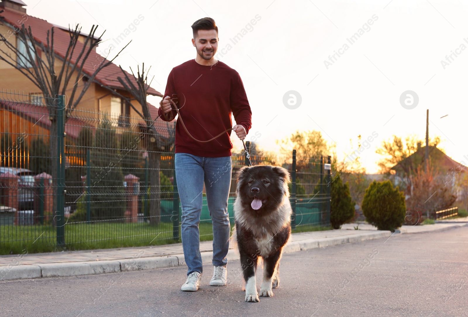 Photo of Young man walking his Caucasian Shepherd dog outdoors