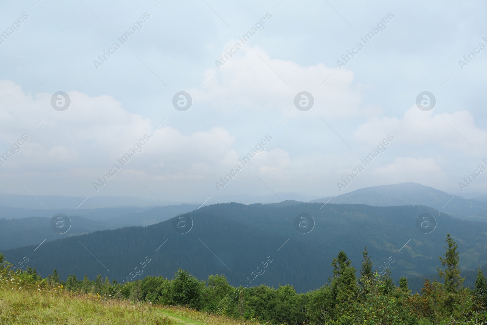 Photo of Picturesque landscape with mountain forest