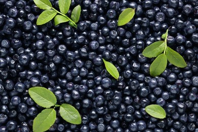 Photo of Many tasty fresh bilberries with green leaves as background, top view