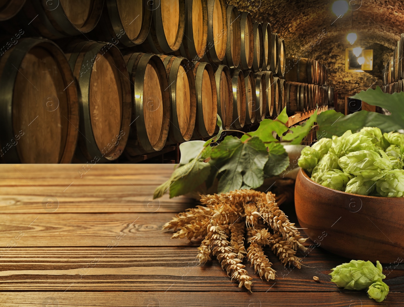 Image of Fresh hops and wheat spikes on wooden table in beer cellar, space for text
