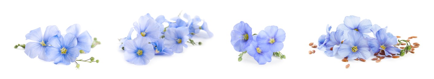 Image of Set with flax seeds and flowers on white background. Banner design