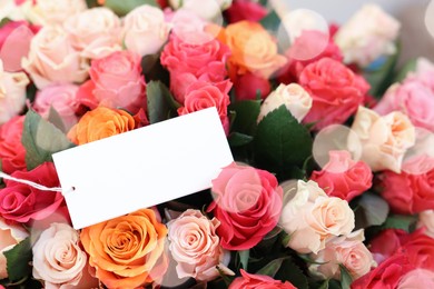 Bouquet of beautiful roses with blank card, closeup