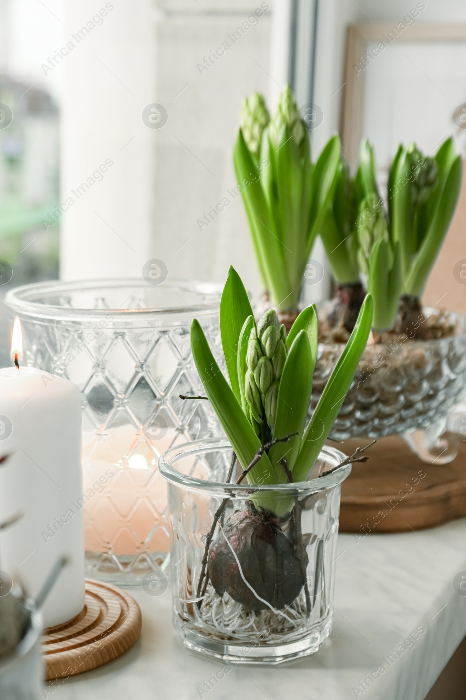 Photo of Beautiful bulbous plants and burning candles on windowsill indoors. Spring time