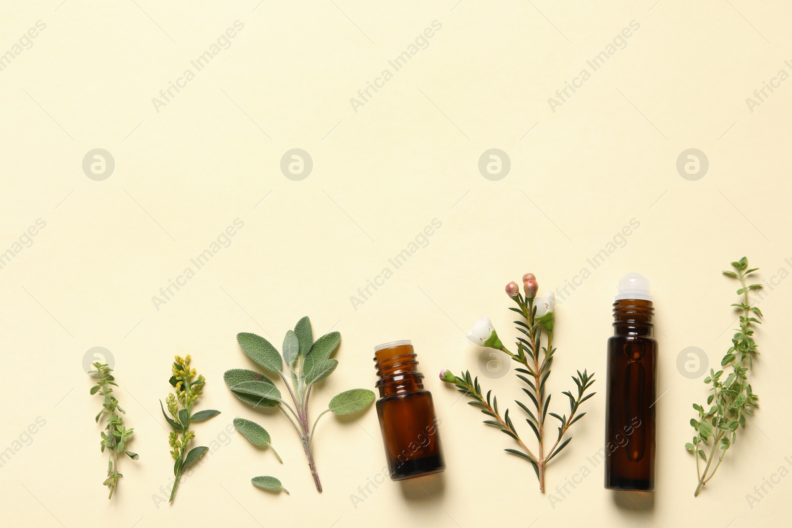 Photo of Bottles of essential oils and different herbs on beige background, flat lay. Space for text