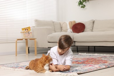 Little boy petting cute ginger cat on carpet at home