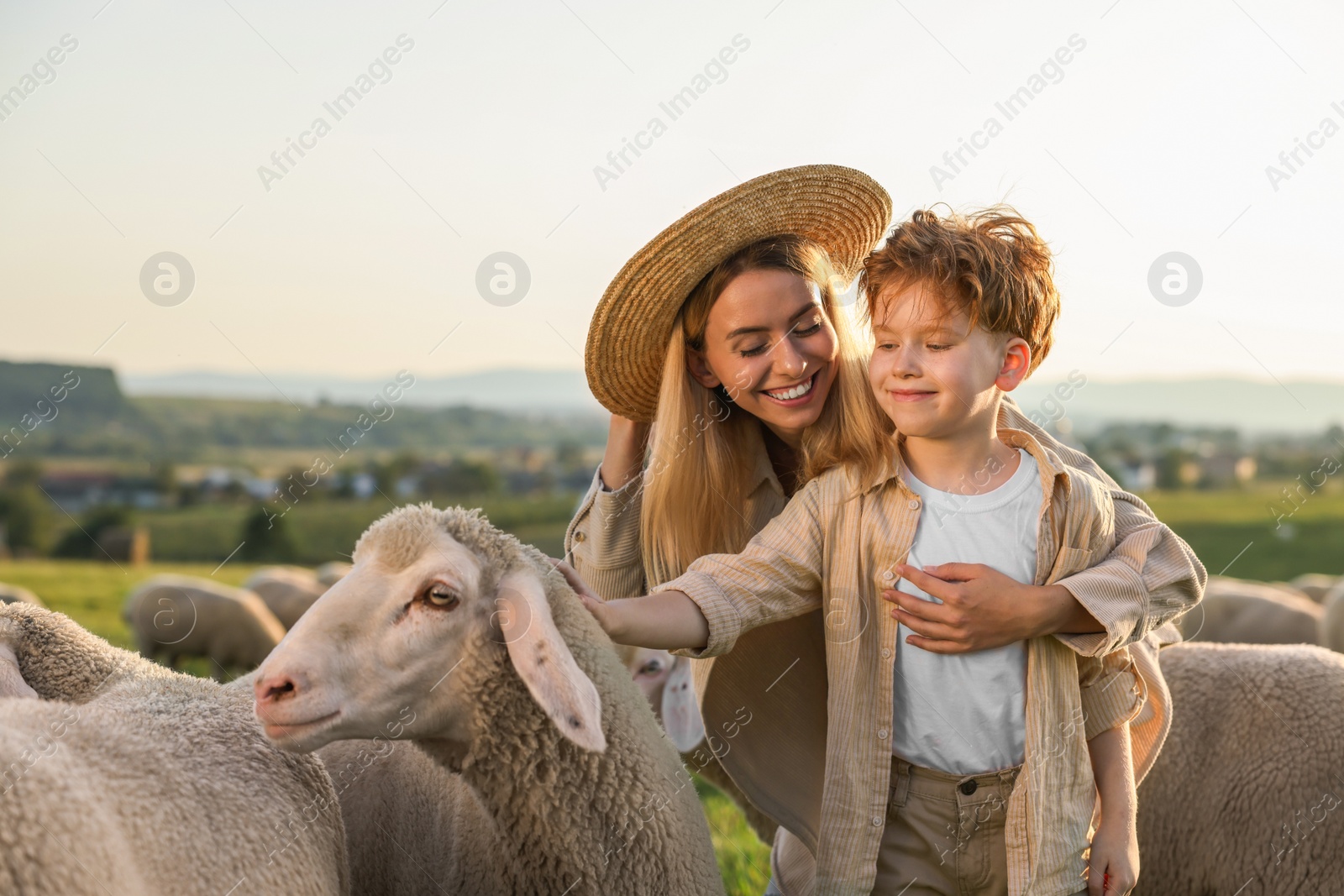 Photo of Mother and son stroking sheep on pasture. Farm animals