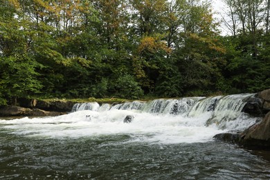 Photo of Picturesque view on mountain river with rapids near forest