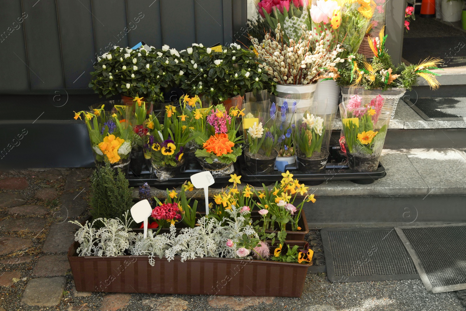 Photo of Many different beautiful plants at outdoor flower shop