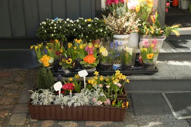 Photo of Many different beautiful plants at outdoor flower shop
