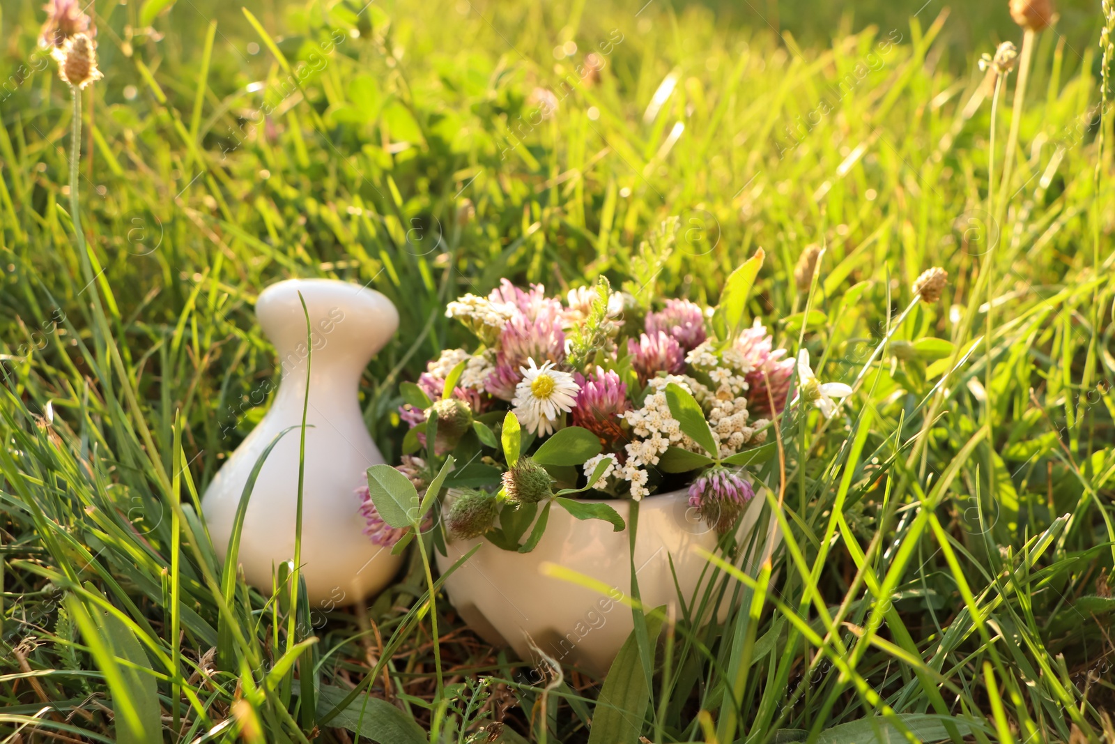 Photo of Ceramic mortar with pestle, different wildflowers and herbs in meadow on sunny day