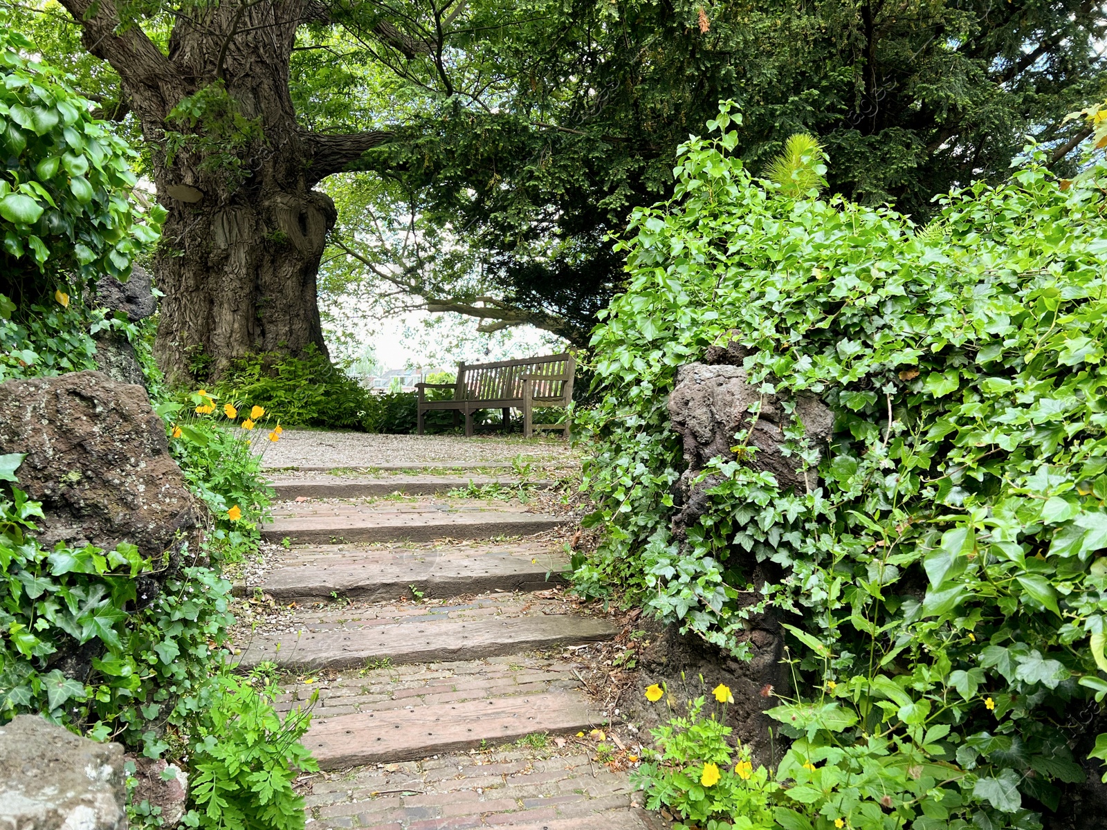 Photo of View of pathway going through park with beautiful green plants