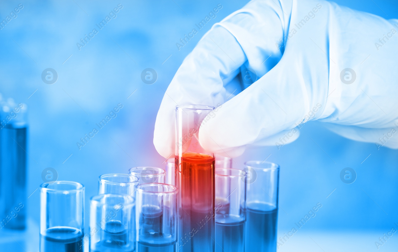 Image of Scientist taking test tube with liquid sample, closeup. Laboratory analysis