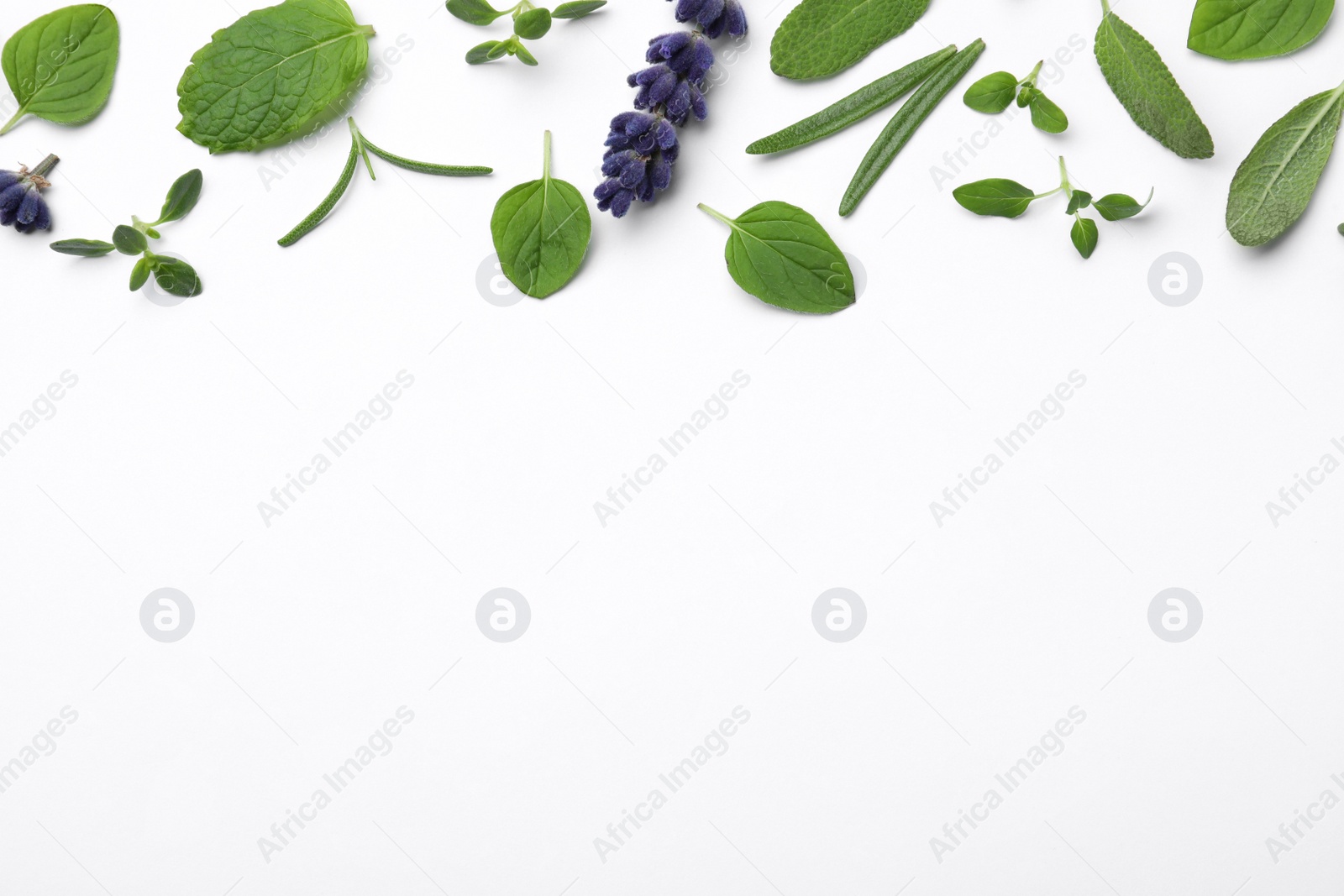 Photo of Many different aromatic herbs on white background, flat lay. Space for text