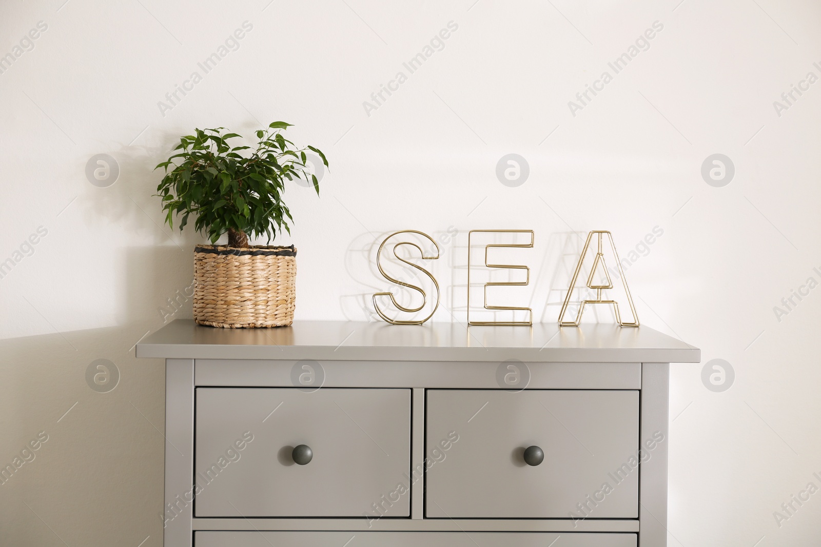 Photo of Grey chest of drawers with houseplant and decor elements near light wall indoors