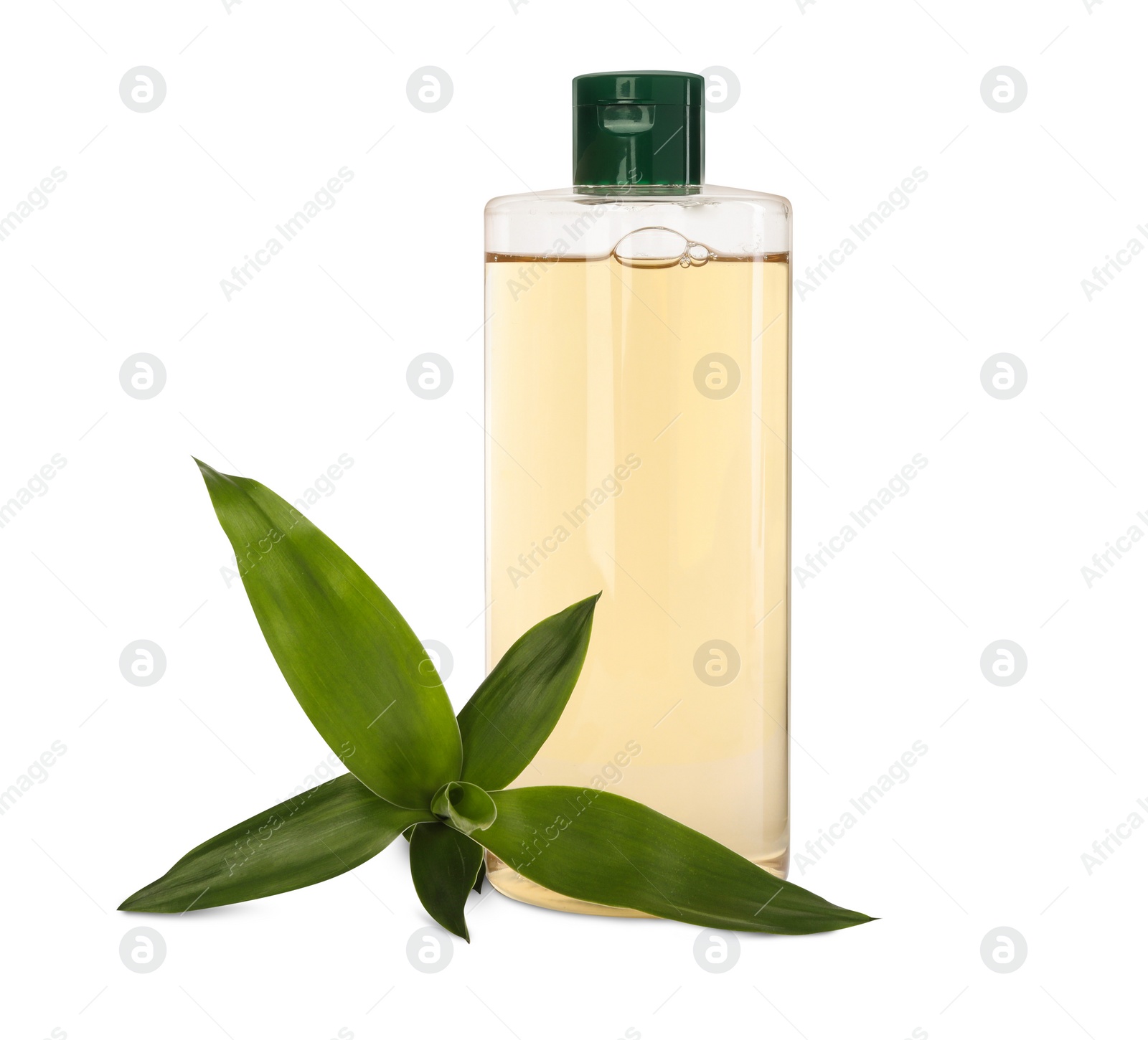 Photo of Bottle of micellar cleansing water and green plant on white background