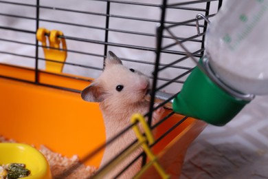 Photo of Cute little fluffy hamster drinking in cage