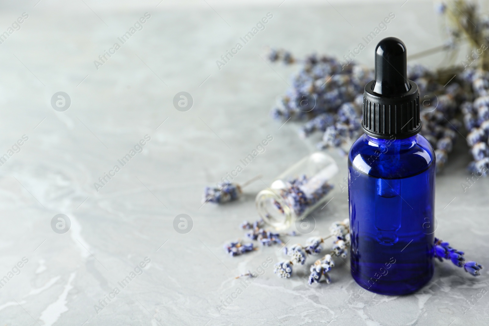 Photo of Bottle of natural essential oil and lavender flowers on grey marble background. Space for text