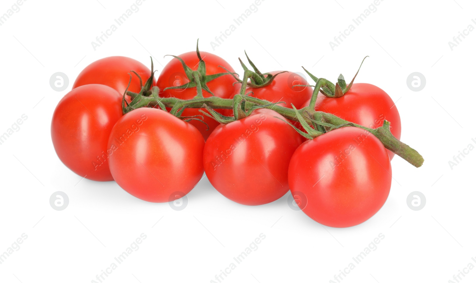 Branch of red ripe cherry tomatoes isolated on white Photo of Branch of red ripe cherry tomatoes isolated on white
