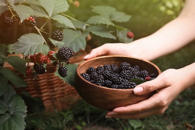 Photo of Woman with wooden bowl of ripe blackberries in garden, closeup