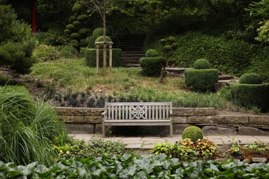Photo of Beautiful view of park with bench and green plants