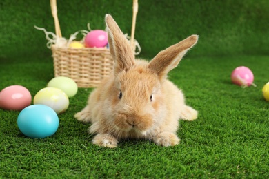 Adorable furry Easter bunny near wicker basket and dyed eggs on green grass