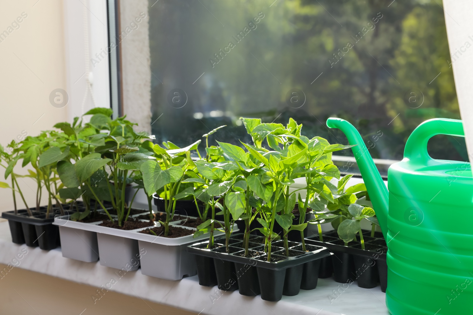 Photo of Seedlings growing in plastic containers with soil and watering can on windowsill indoors