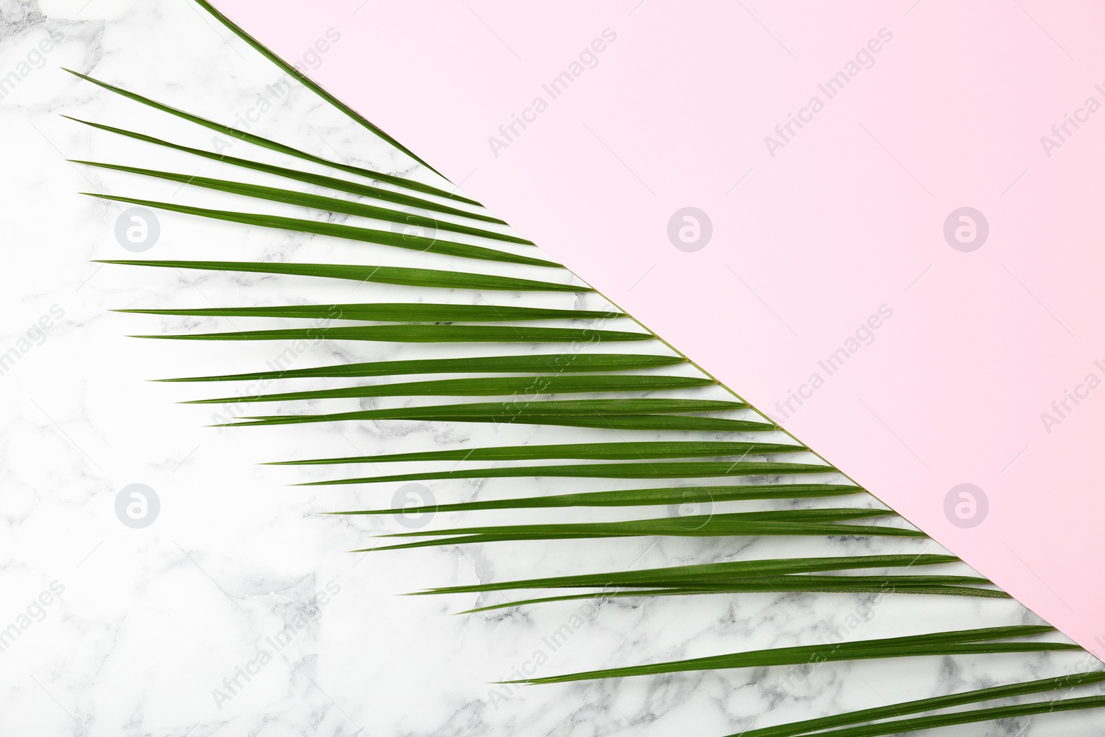 Photo of Composition with tropical date palm leaves on marble background, top view