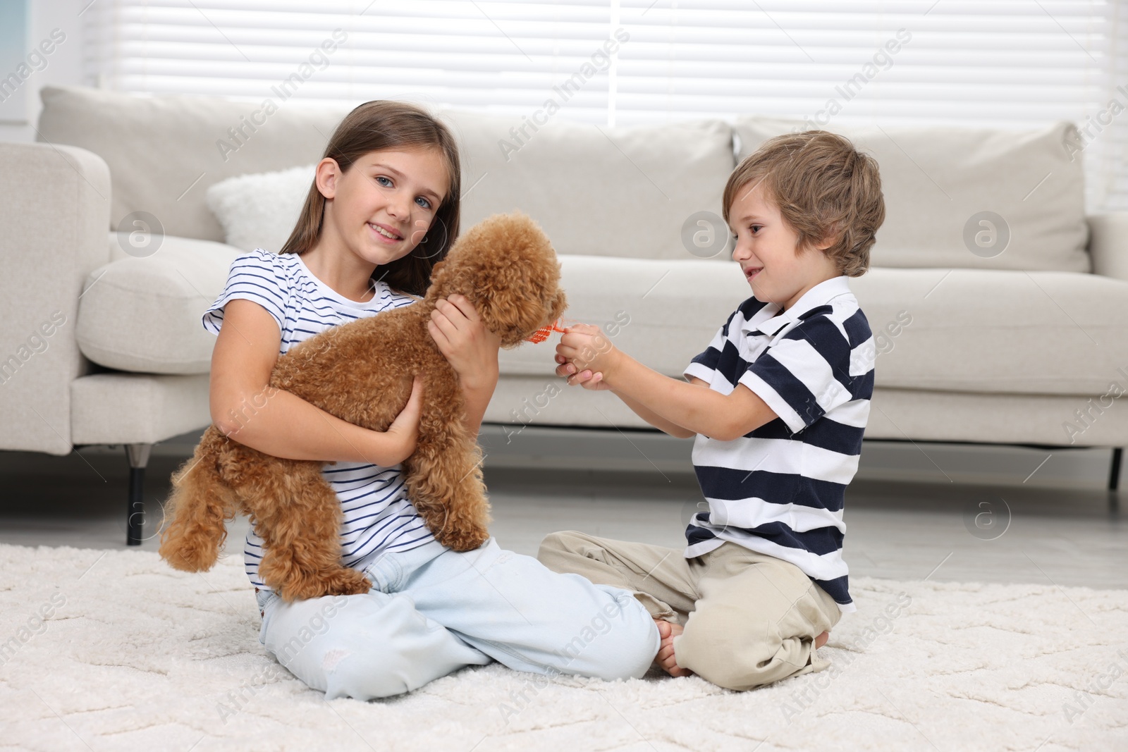 Photo of Little children playing with cute puppy on carpet at home. Lovely pet