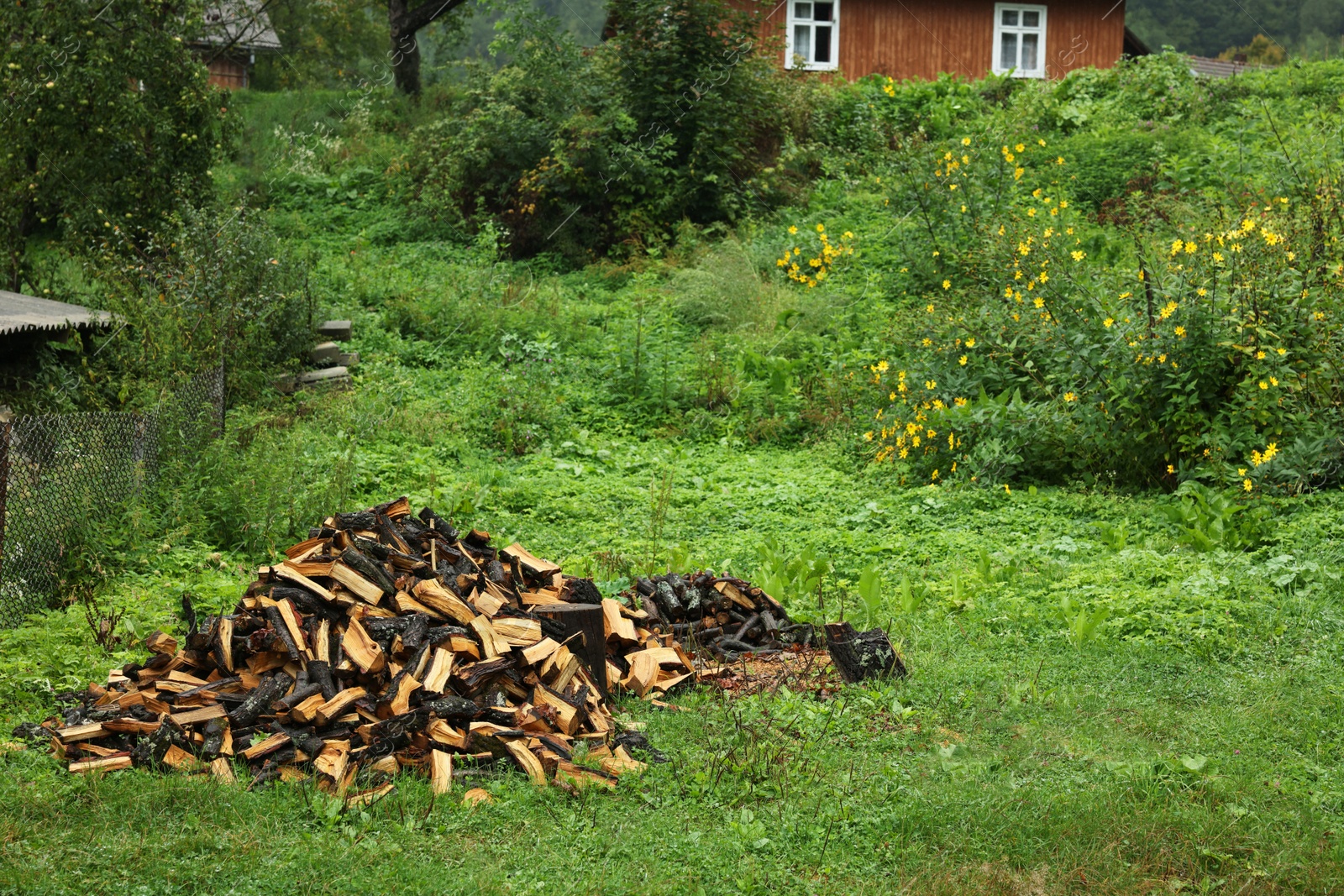 Photo of Pile of cut firewood on fresh green grass outdoors, space for text