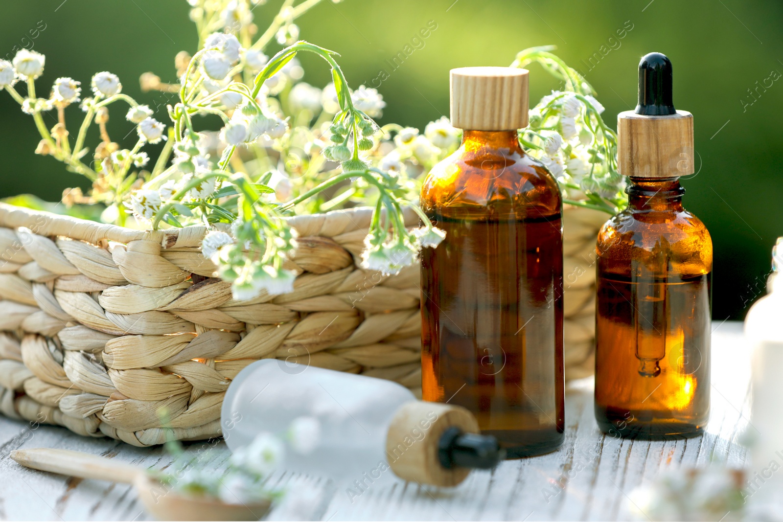 Photo of Bottles of chamomile essential oil and flowers on white wooden table, closeup