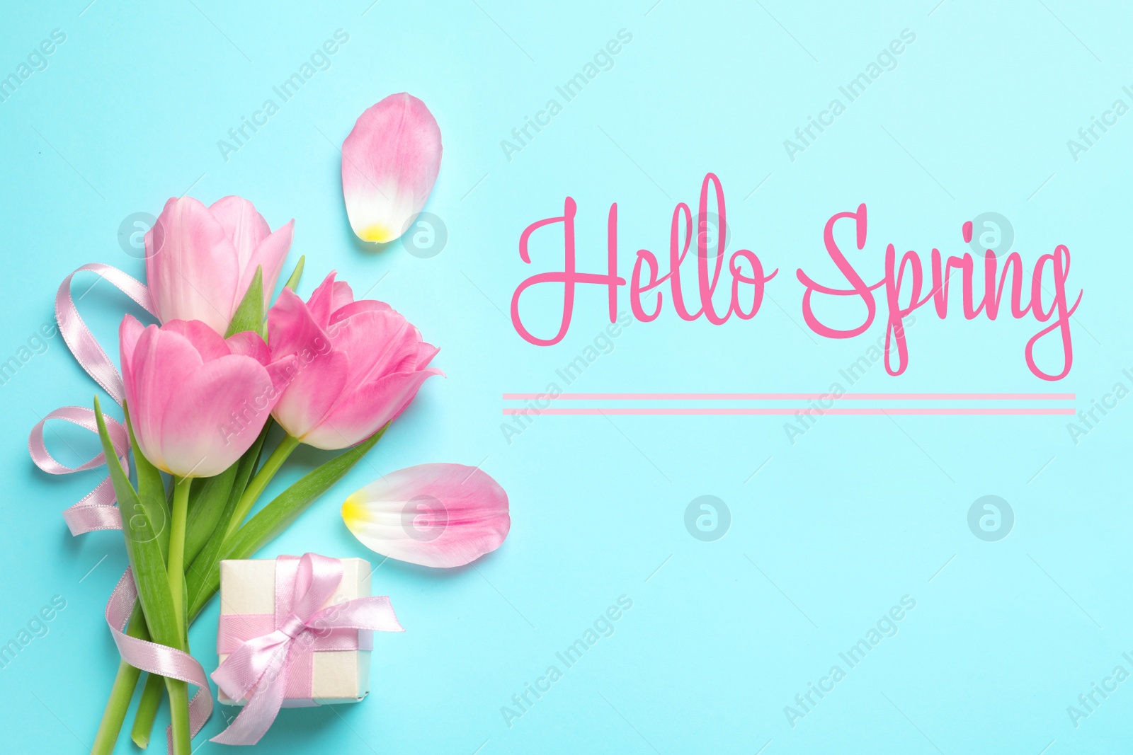 Image of Hello Spring. Flat lay composition with beautiful tulips on light blue background