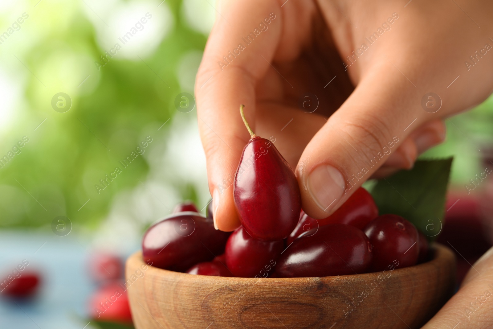 Photo of Woman taking fresh ripe dogwood berry from wooden bowl against blurred green background, closeup