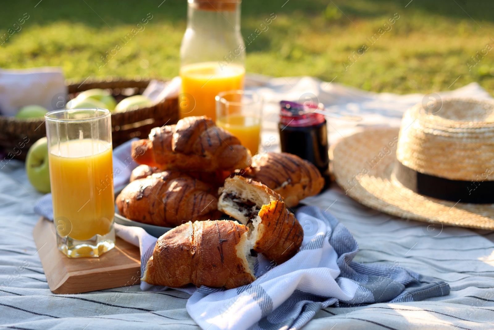 Photo of Picnic with delicious food and juice on blanket in garden