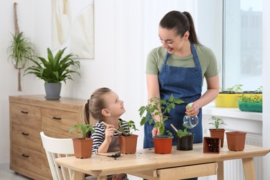 Mother and daughter taking care of seedlings in pots together at wooden table in room