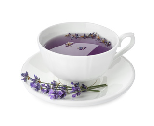 Photo of Fresh delicious tea with lavender and beautiful flowers isolated on white