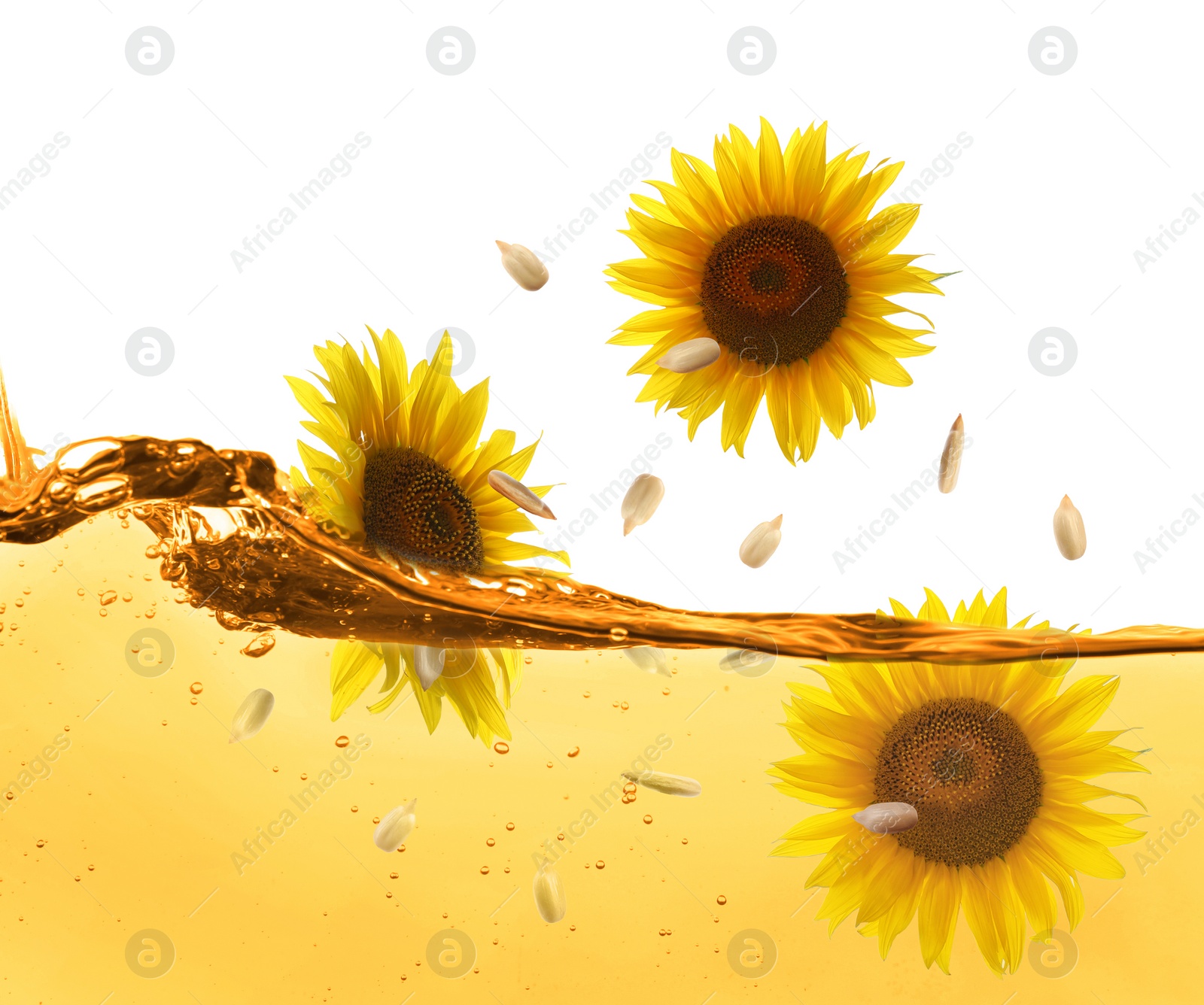 Image of Sunflowers and seeds falling into cooking oil on white background