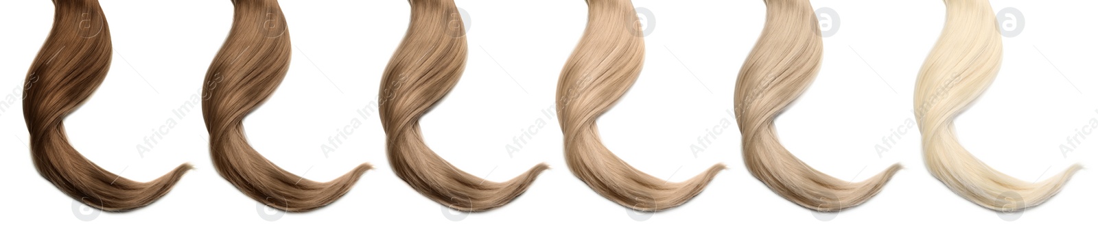 Image of Strands of different beautiful hair on white background, top view. Banner design