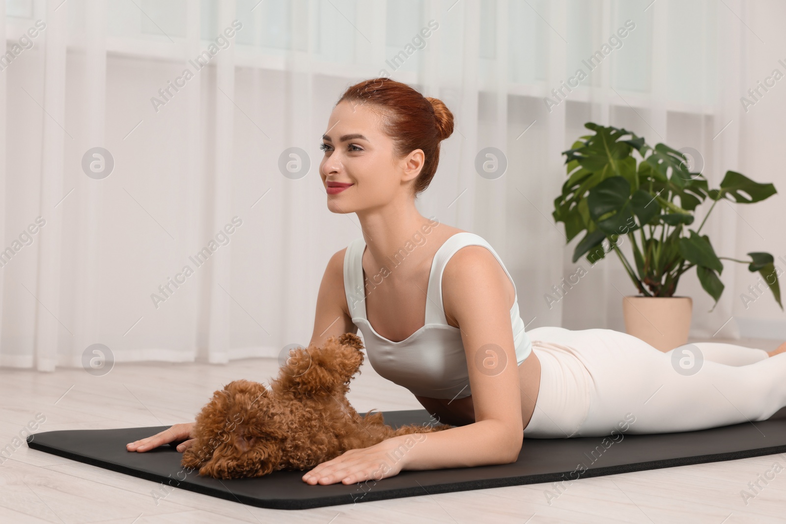 Photo of Young woman practicing yoga on mat with her cute dog indoors