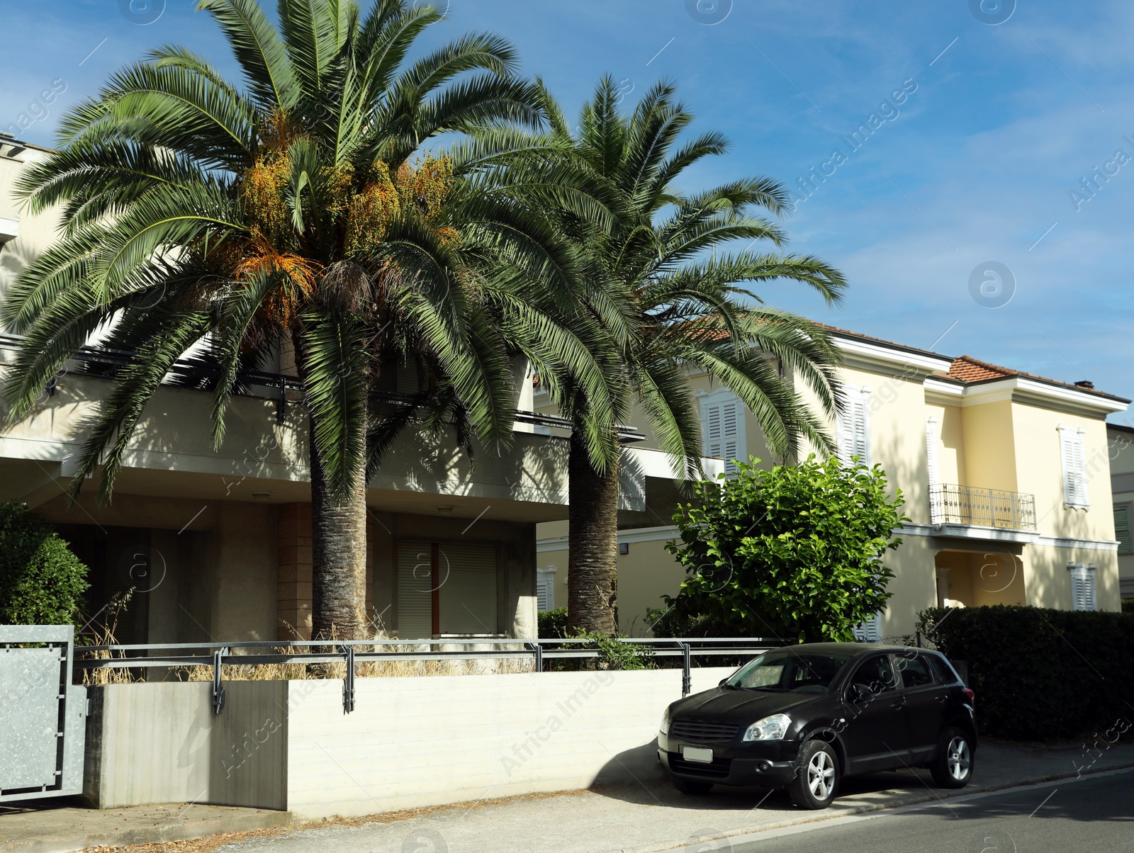 Photo of Beautiful palm trees and residential building with balconies on sunny day