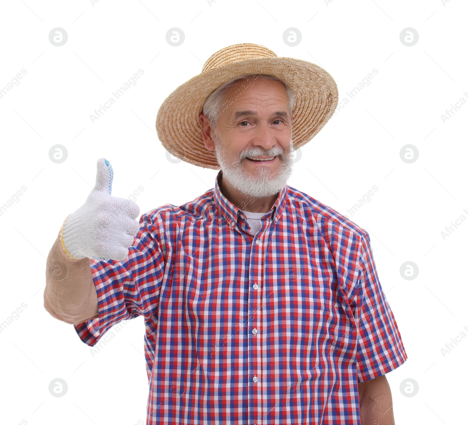 Photo of Harvesting season. Happy farmer showing thumb up on white background