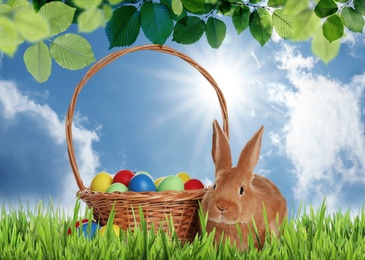 Image of Cute bunny and wicker basket with colorful Easter eggs on green grass outdoors