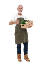 Harvesting season. Happy farmer holding wooden crate with vegetables and showing thumb up on white background