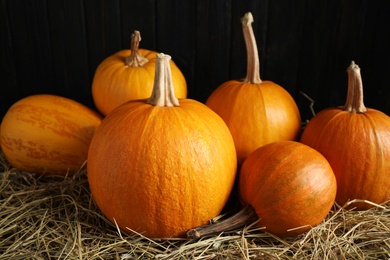 Photo of Ripe pumpkins on hay against black background. Holiday decoration