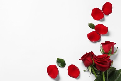 Beautiful red roses and petals on white background, top view. Space for text