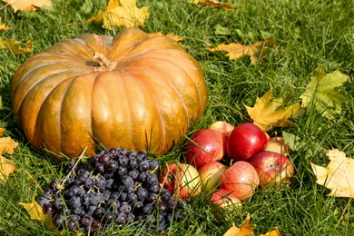 Photo of Ripe pumpkin, fruits and maple leaves on green grass outdoors. Autumn harvest