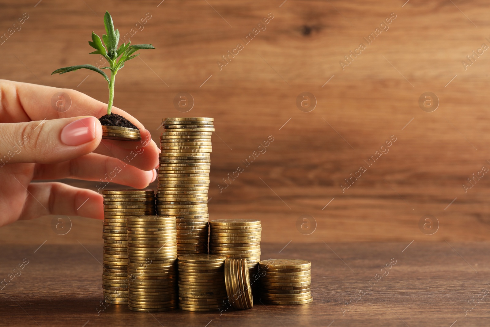 Photo of Woman putting coin onto stack with green sprout at wooden table, closeup and space for text. Investment concept